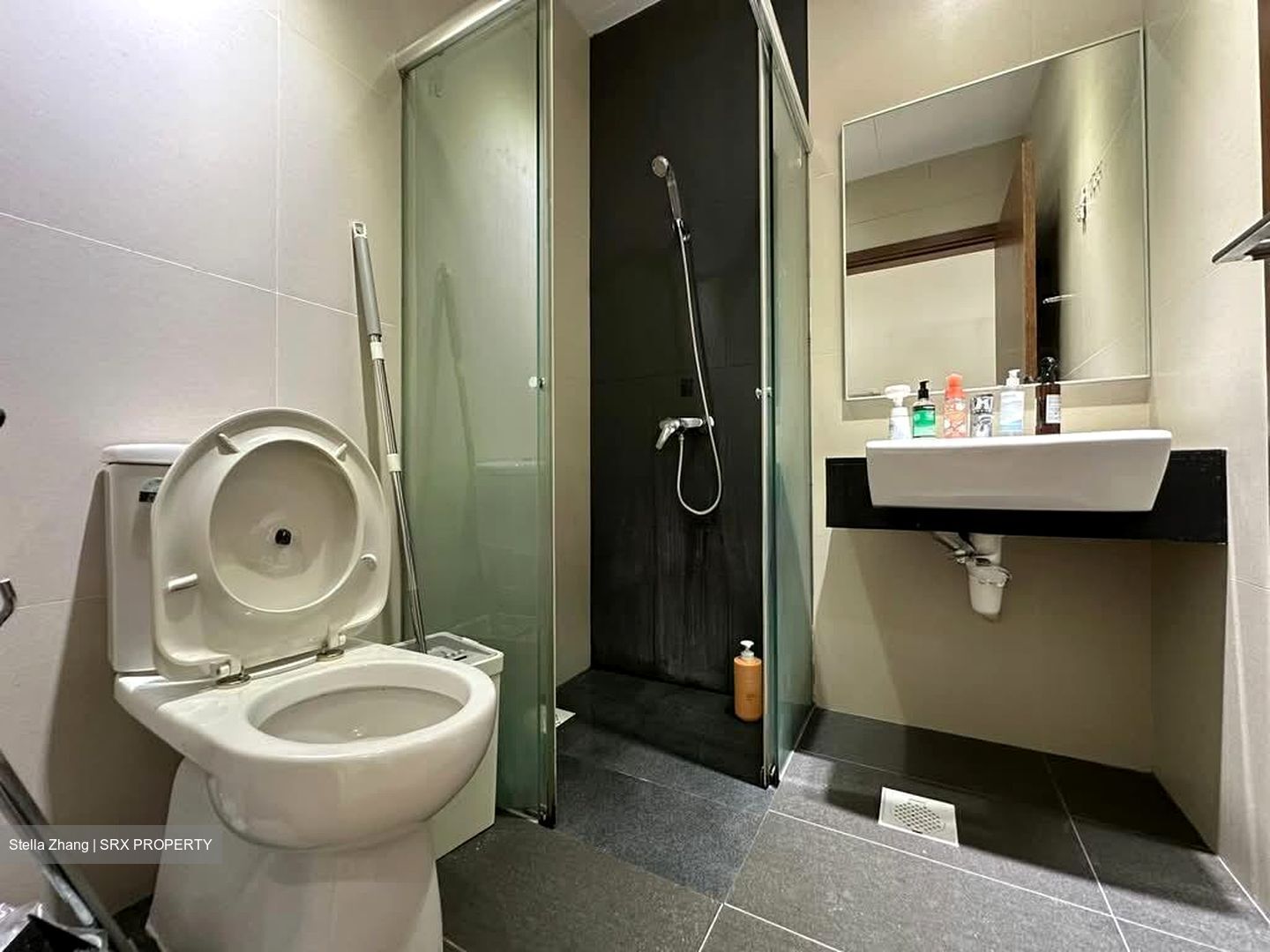 Parc Elegance (D15), Apartment #552496111
